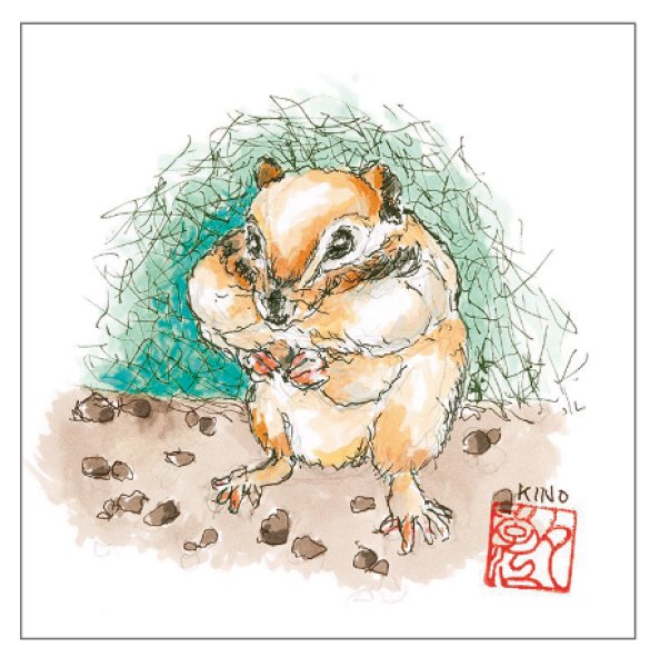 画像1: ミニタオル (1)