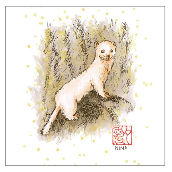 画像1: ミニタオル (1)