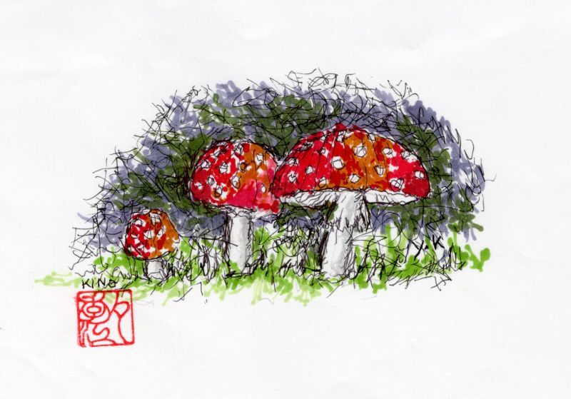 ベニテングタケ🍄