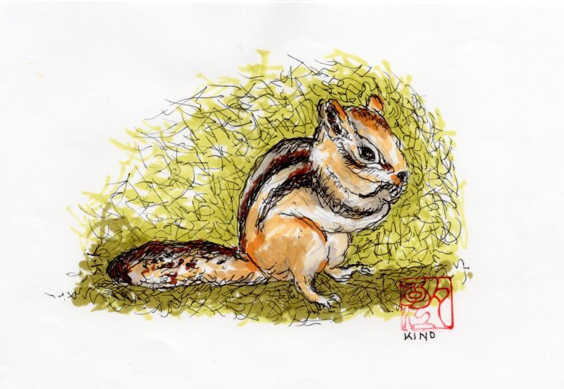 リス🐿️