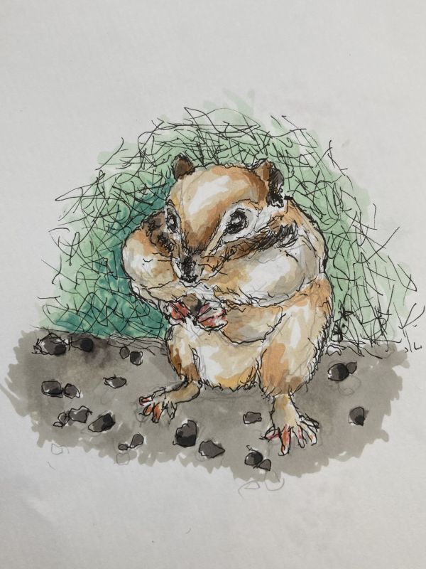 リス🐿️ 2 