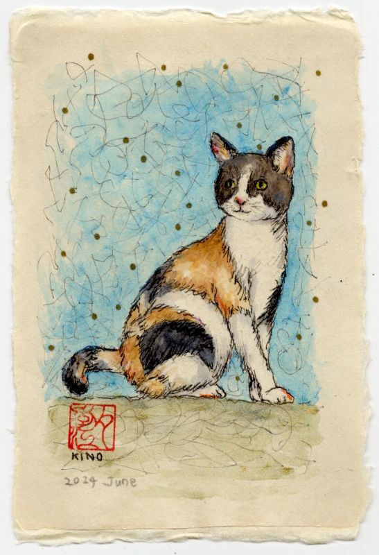 三毛猫🐈
