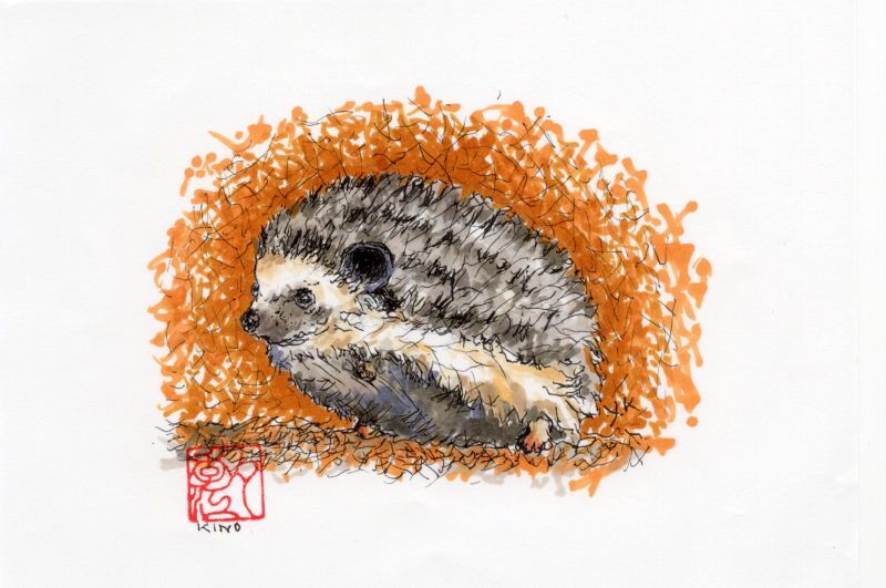 ハリネズミ🦔