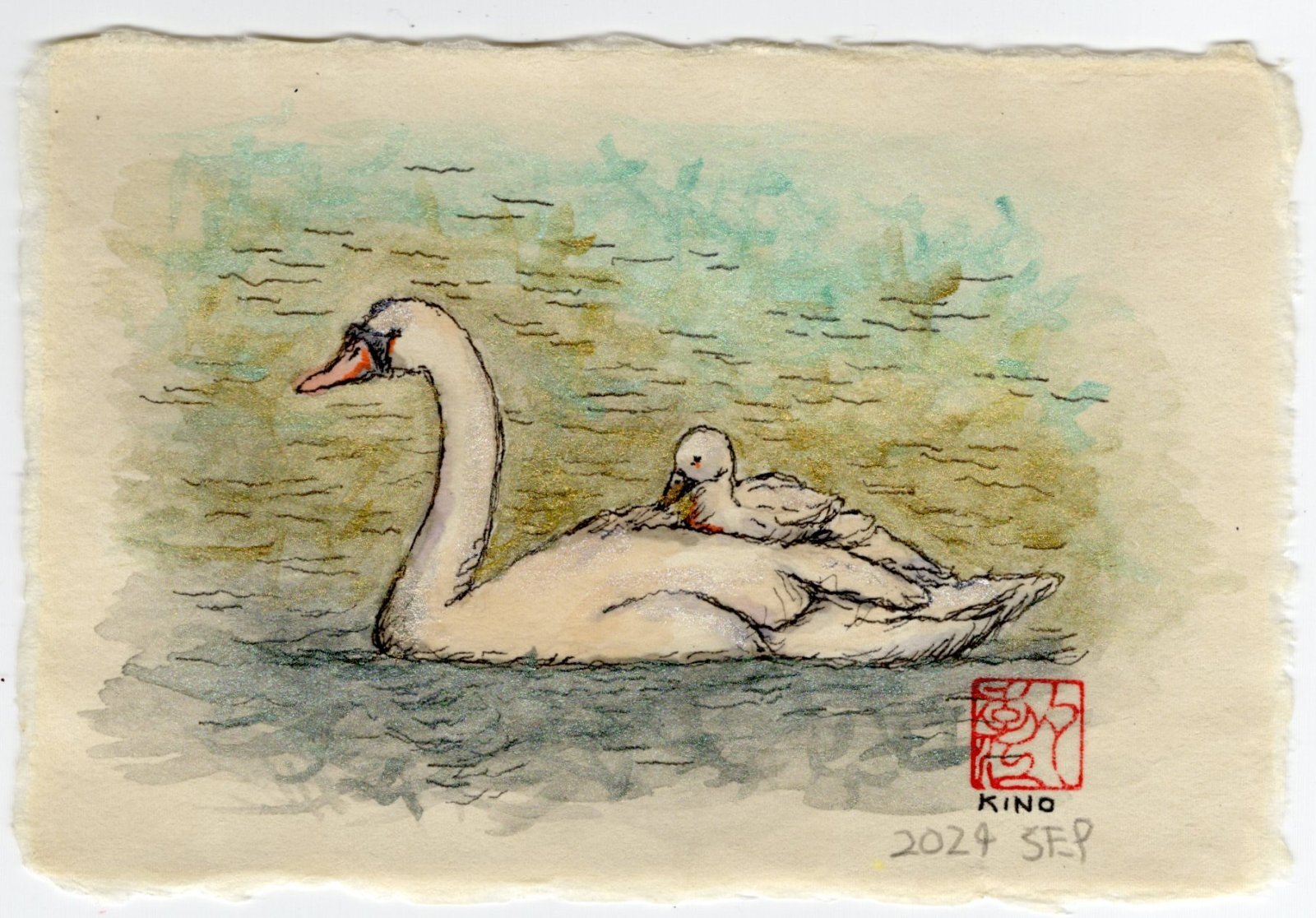 白鳥の親子🦢
