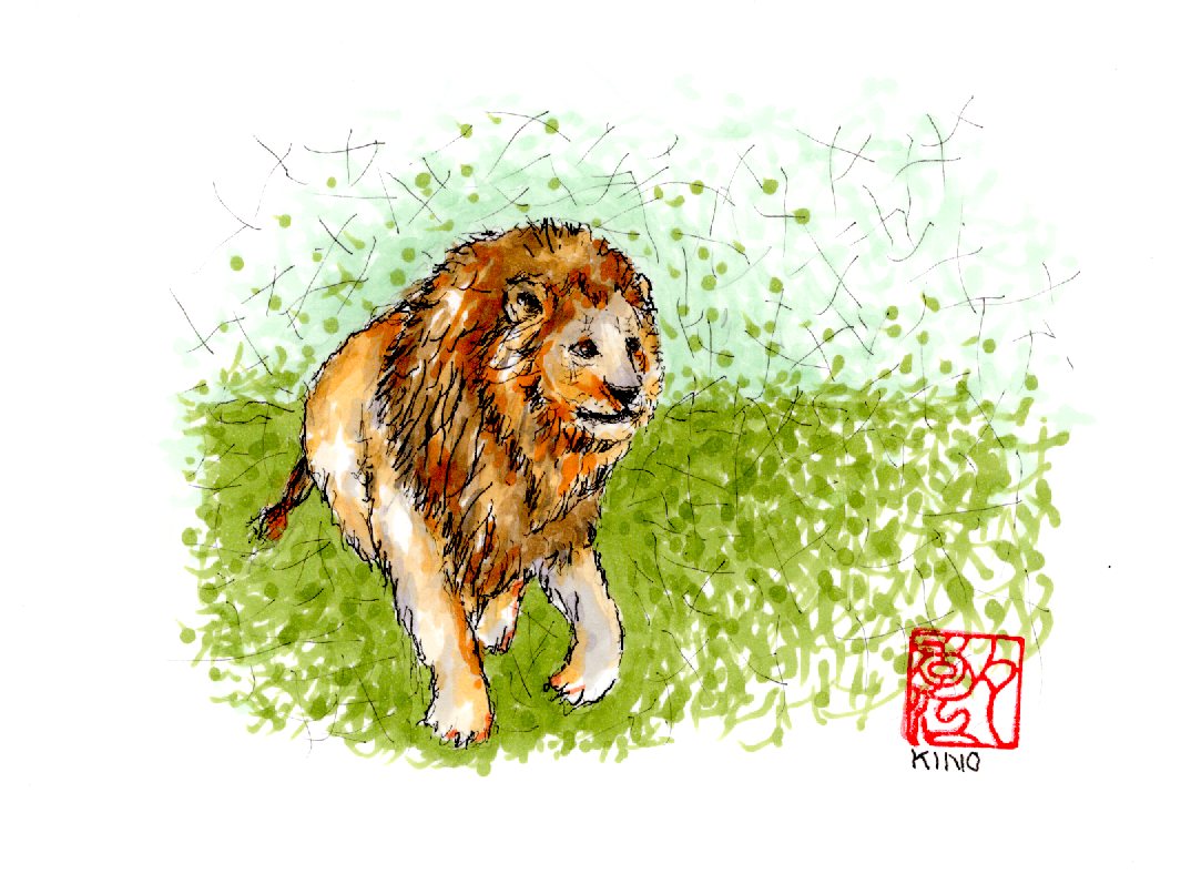 ライオン🦁