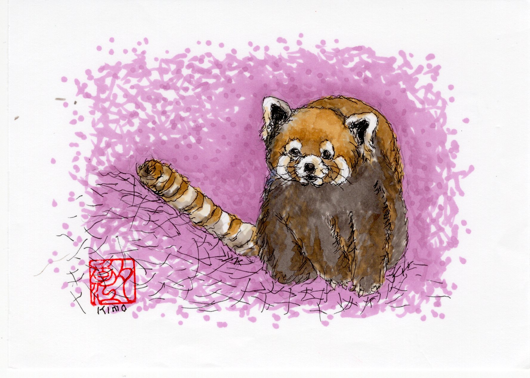 レッサーパンダ